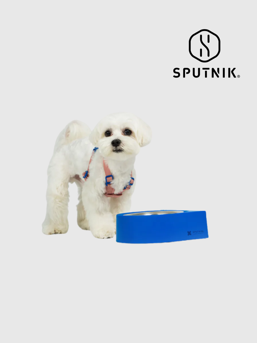 【SPUTNIK】10TH YEAR 寵物防蟻碗｜藍色