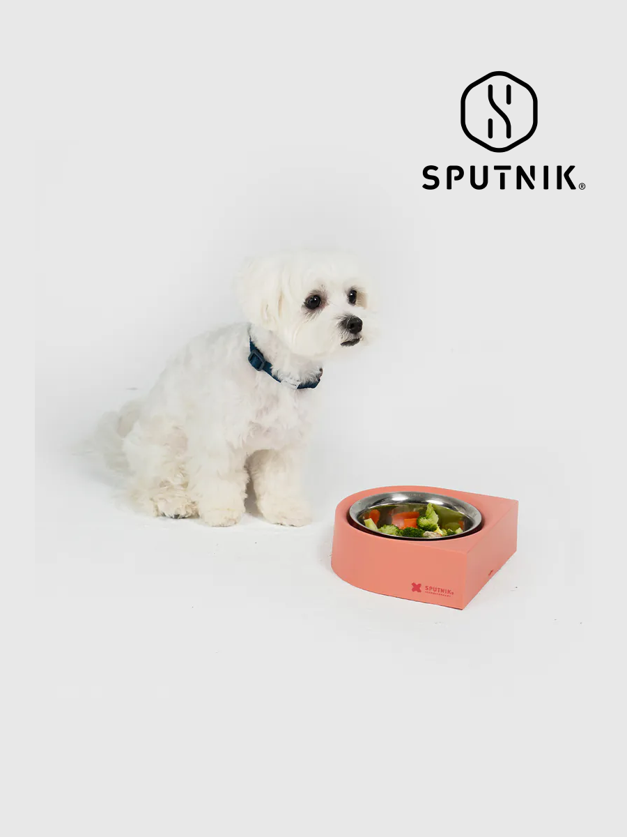 【SPUTNIK】10TH YEAR 寵物防蟻碗｜粉色