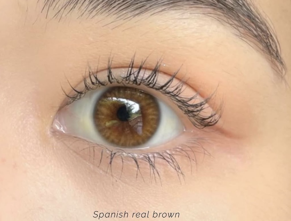 OLENS Spanish 1 Day Real Brown｜日拋彩妝隱形眼鏡｜每盒20片