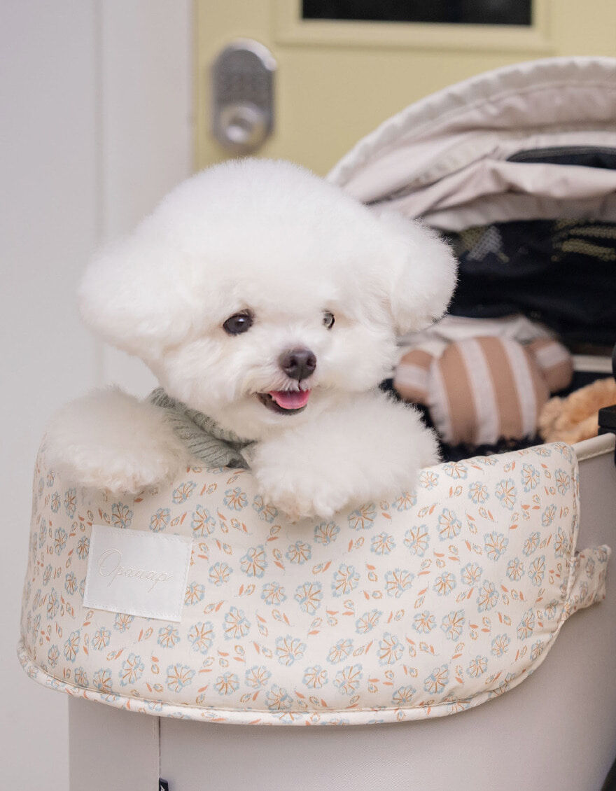 OPAAAP 淡藍小花泡芙推車圍片