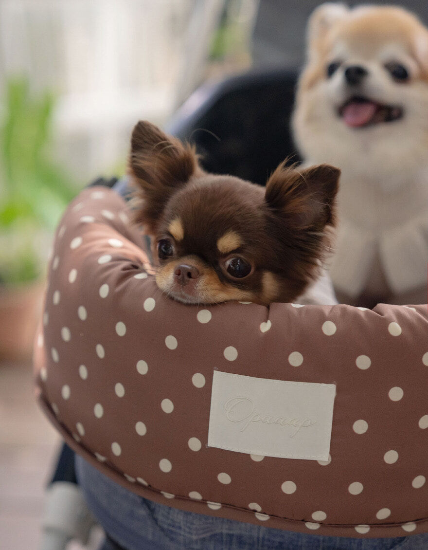 OPAAAP 摩卡點點泡芙推車圍片