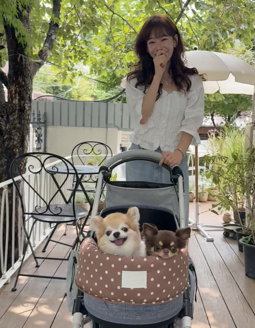 OPAAAP 摩卡點點泡芙推車圍片