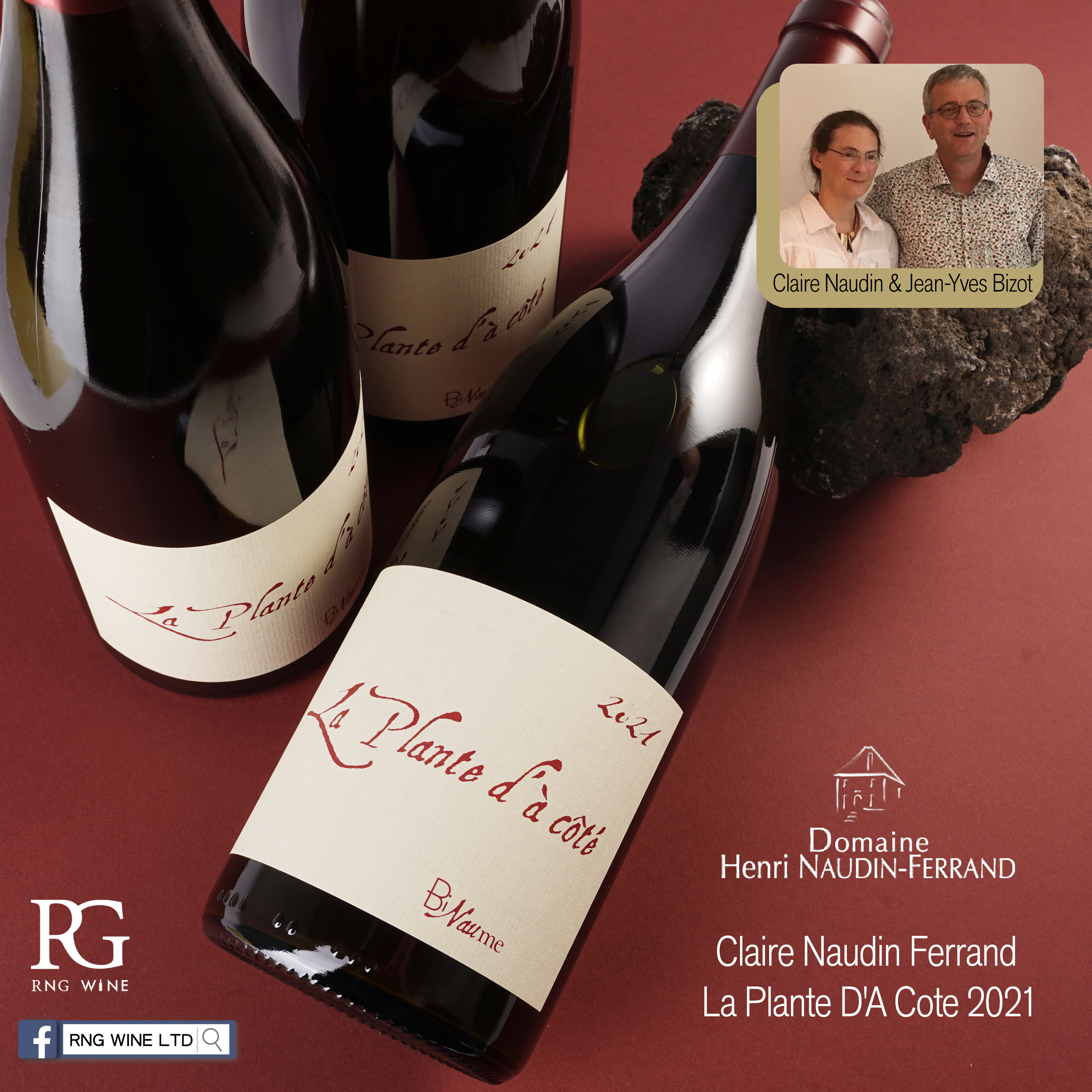 Claire Naudin Ferrand La Plante D'A Cote 2021