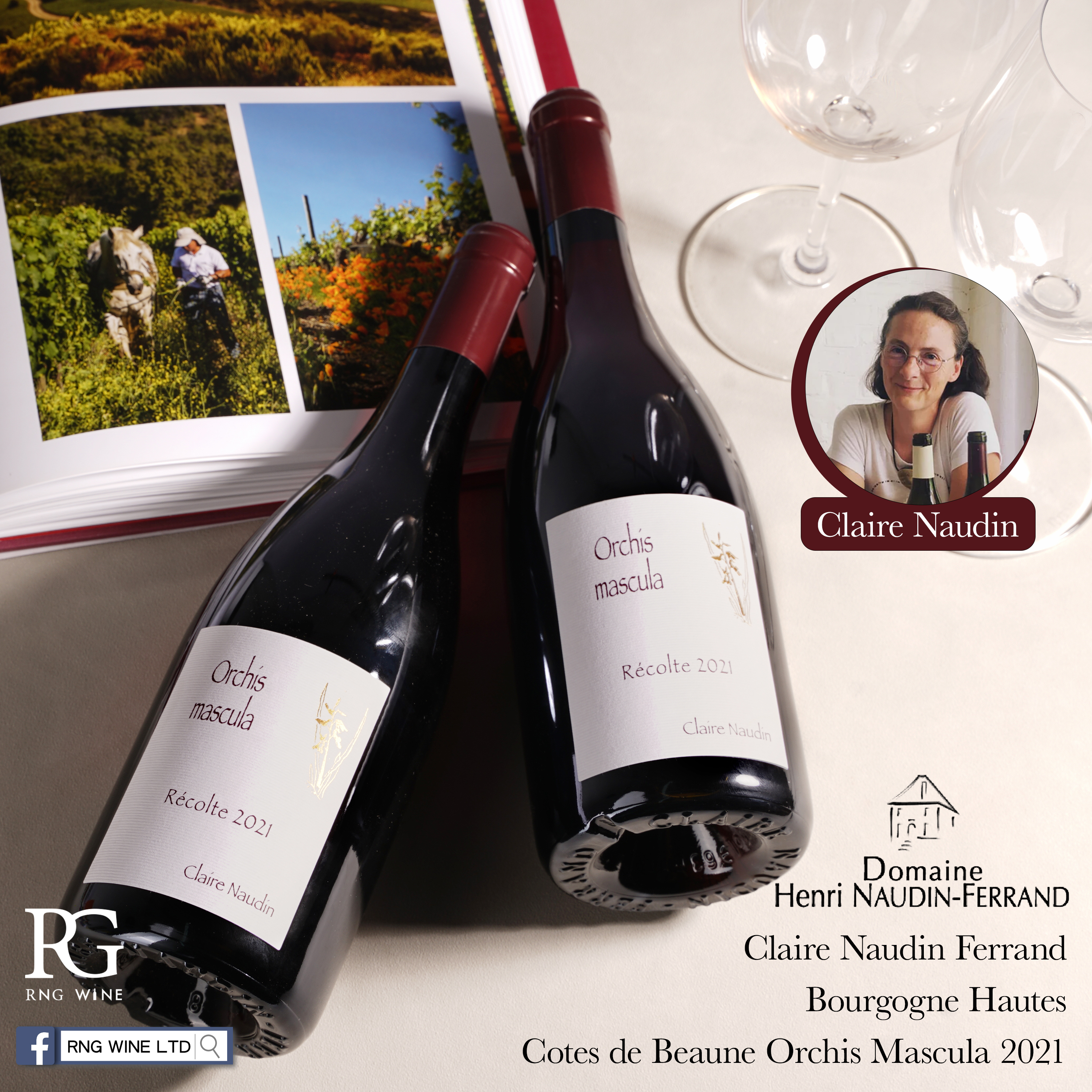 Claire Naudin Ferrand Bourgogne Hautes Cotes de Beaune Orchis Mascula 2021