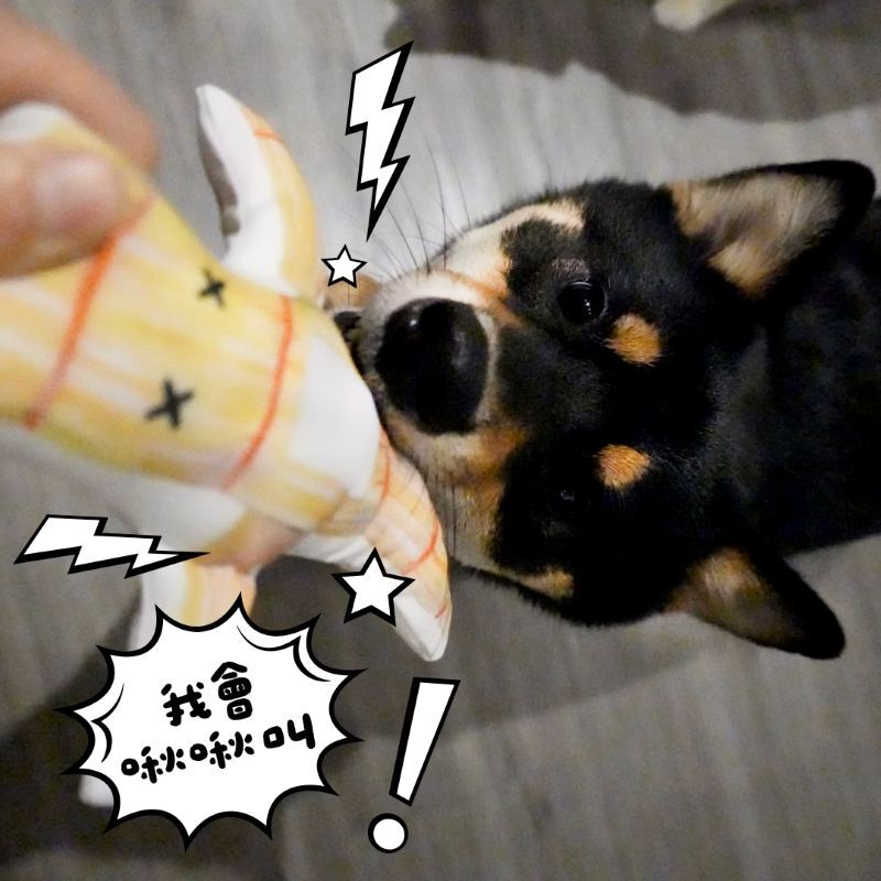 Cody Mao Mao 可蒂毛毛｜改運草人啾啾版