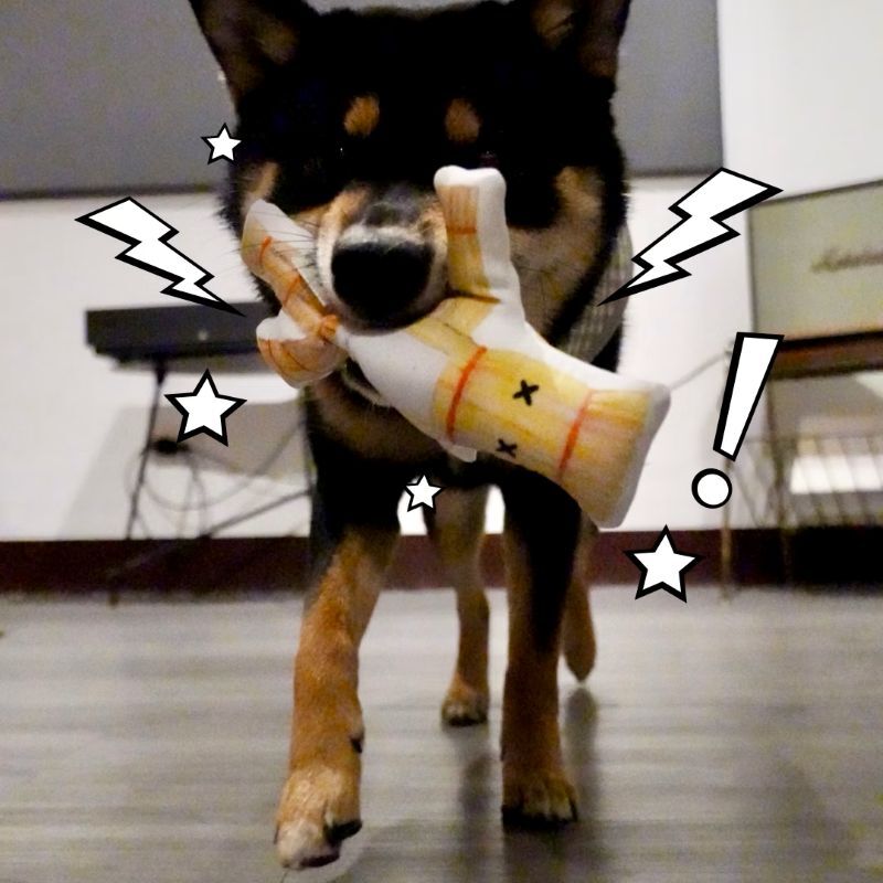 Cody Mao Mao 可蒂毛毛｜改運草人啾啾版