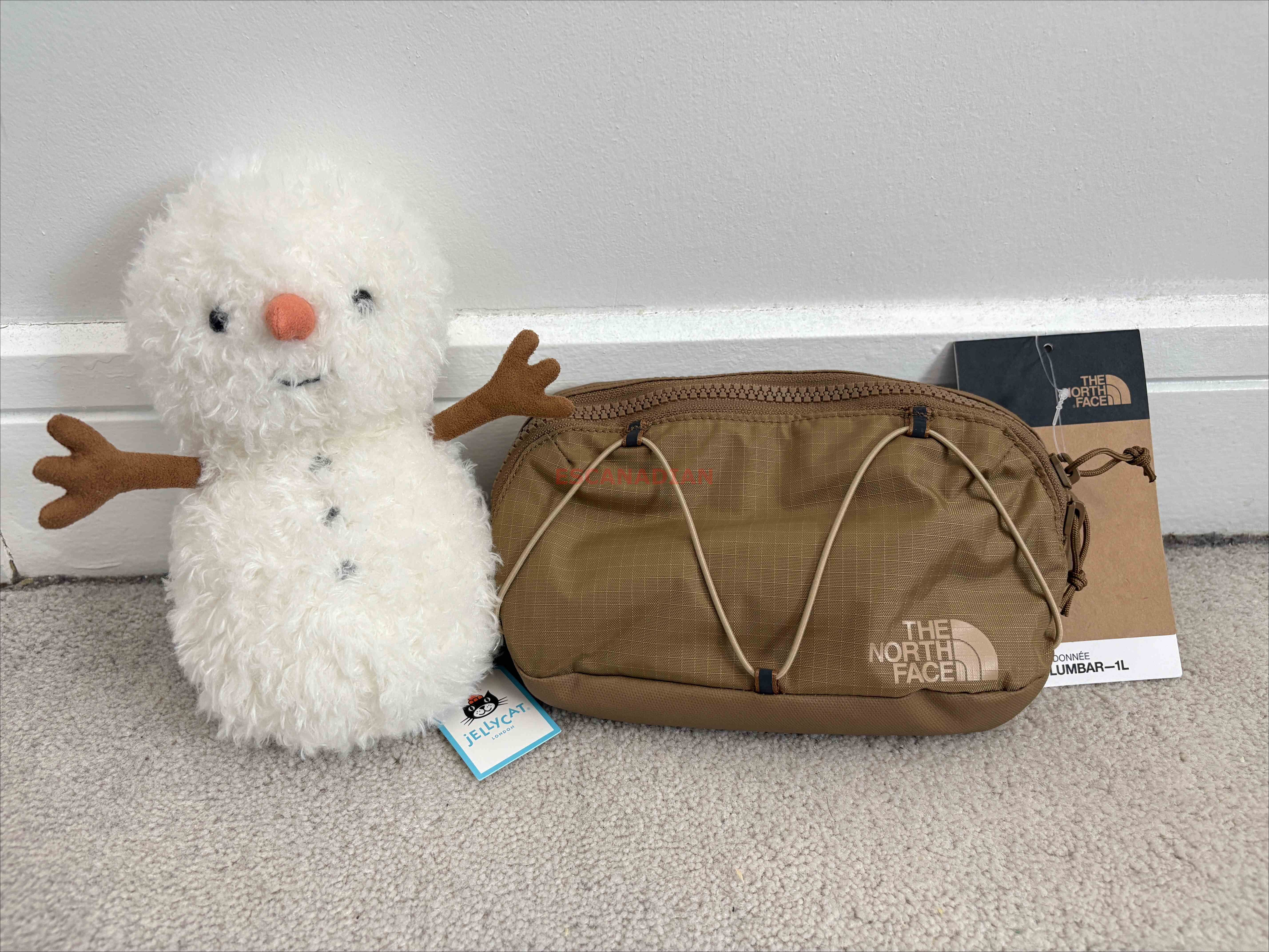 THE NORTH FACE Lumbar(1L) 兩用小腰包 (可斜背)