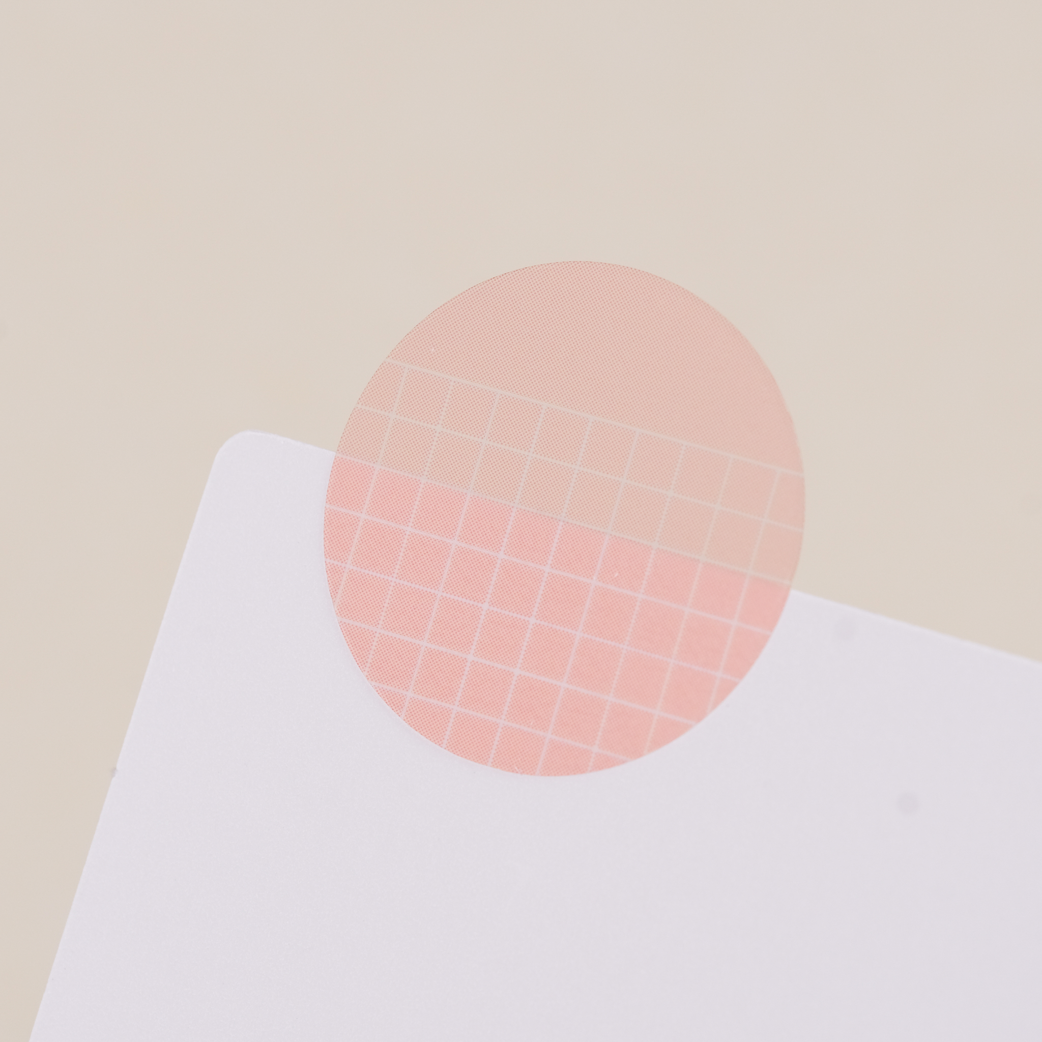 isshoni. Index 備忘便利貼 COLOR / DAIGO / JAPAN