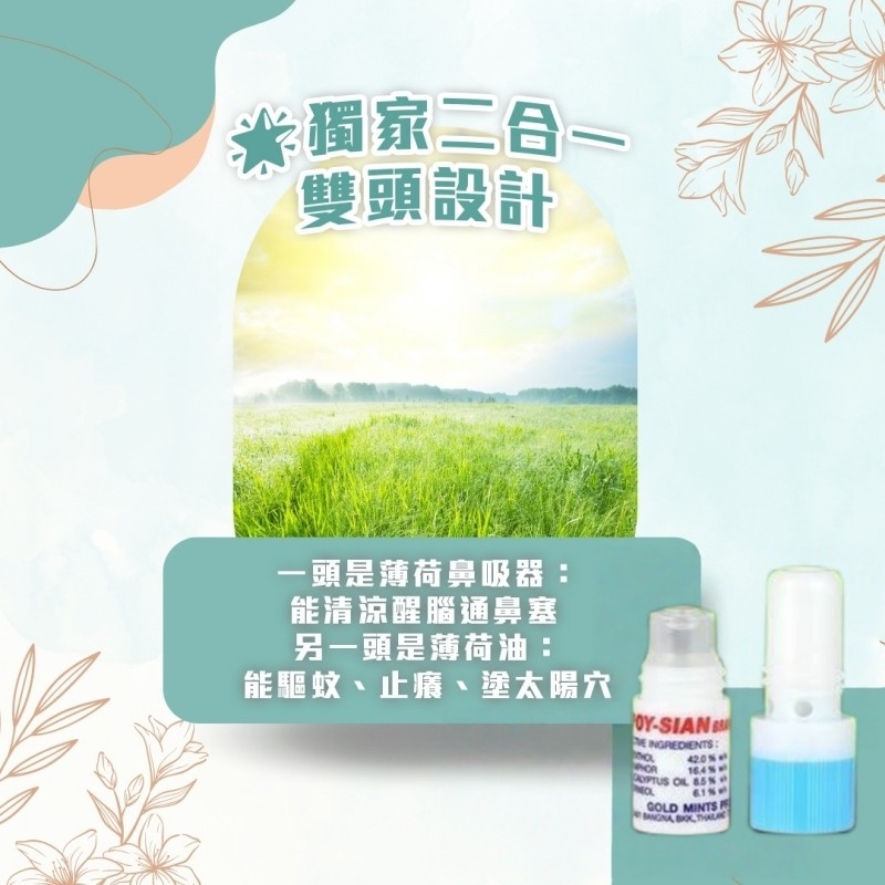 (預購商品 9/19收單)  泰國八仙筒清新薄荷精油棒2ml  1排6入