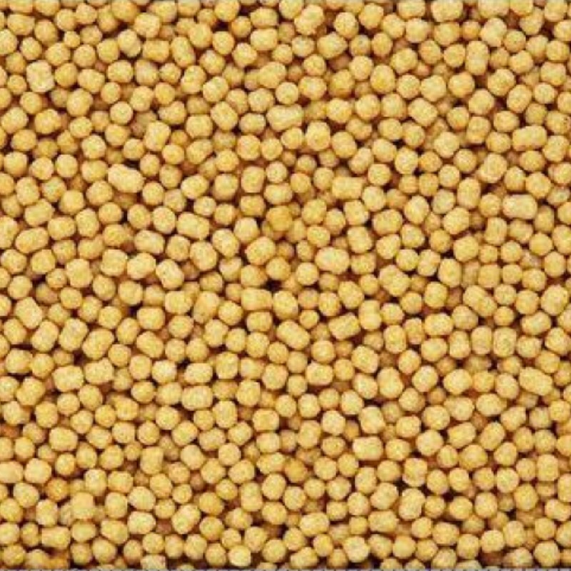 Hikari Kirapipi 小型鸚鵡糧 - 600g