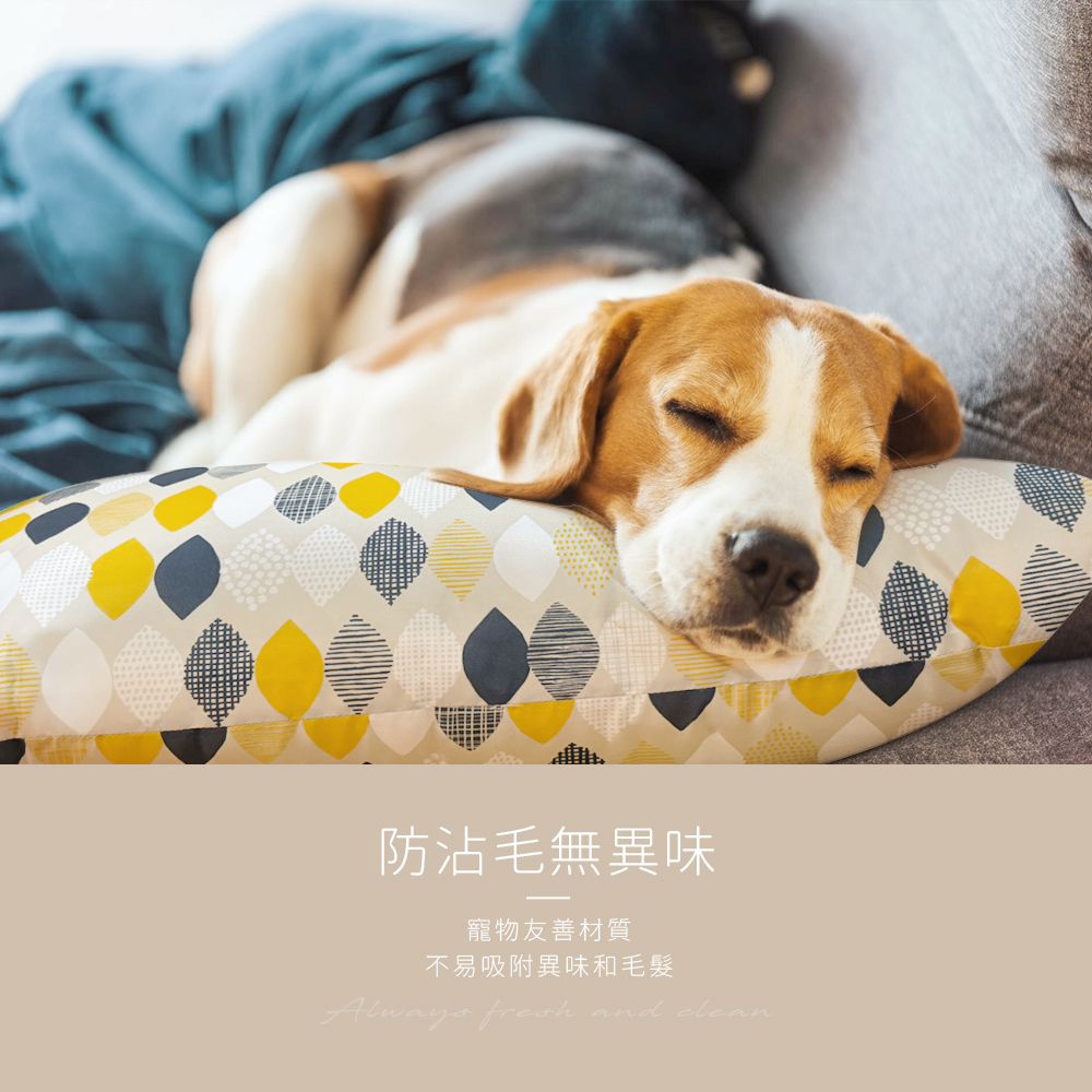 防沾毛無異味。寵物友善材質,不易吸附異味和毛髮