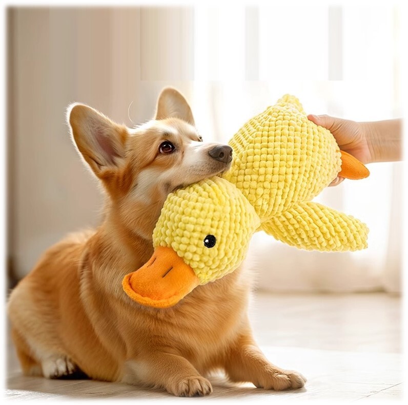 小黃鴨毛絨公仔 寵物玩具 狗狗玩具(發聲)