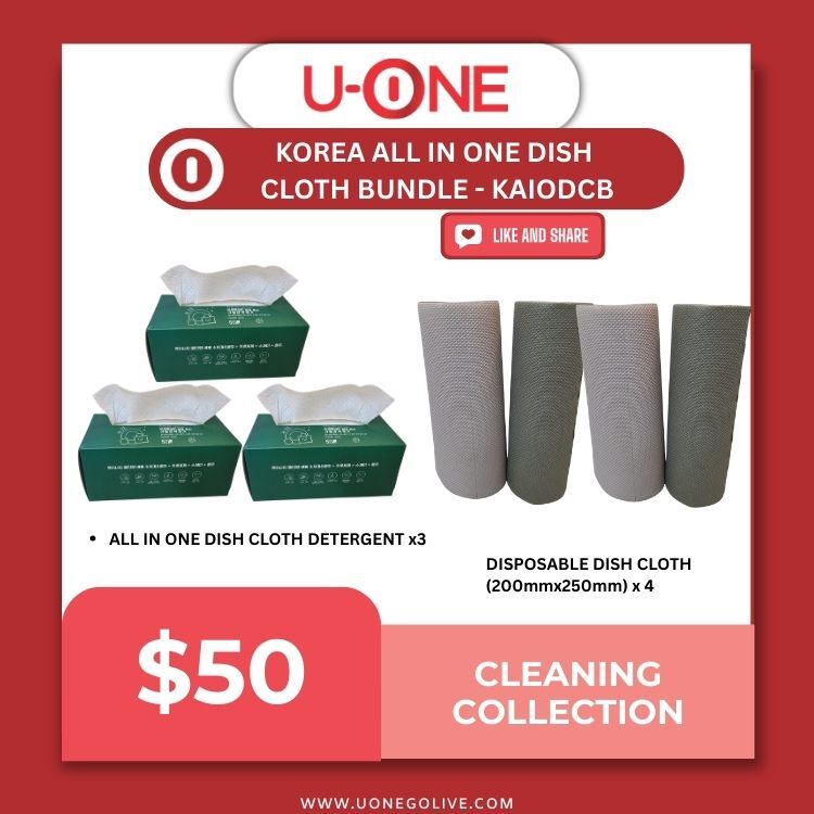 KOREA ALL IN ONE DISH CLOTH BUNDLE - KAIODCB