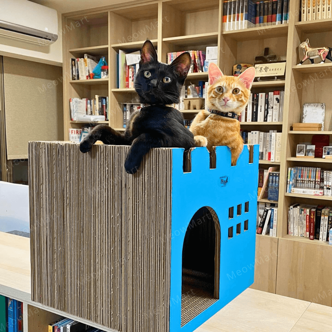 台灣CO.CO.CAT酷酷貓｜豪華城堡貓抓板