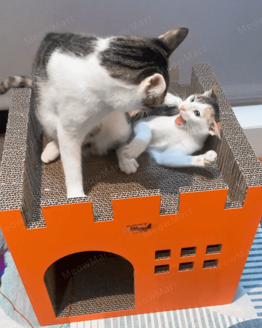 台灣CO.CO.CAT酷酷貓｜豪華城堡貓抓板