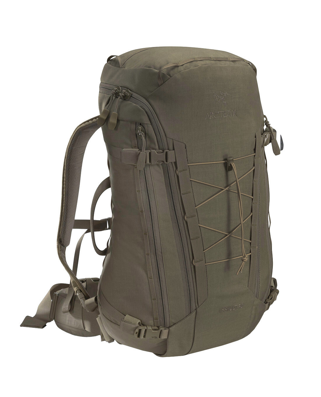 Arcteryx Assault Pack 30 Crocodile