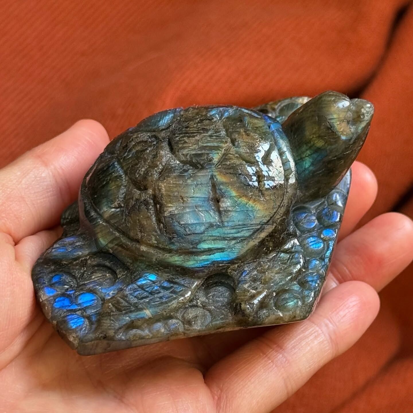 [原石] 拉長石 海龜 水晶擺飾