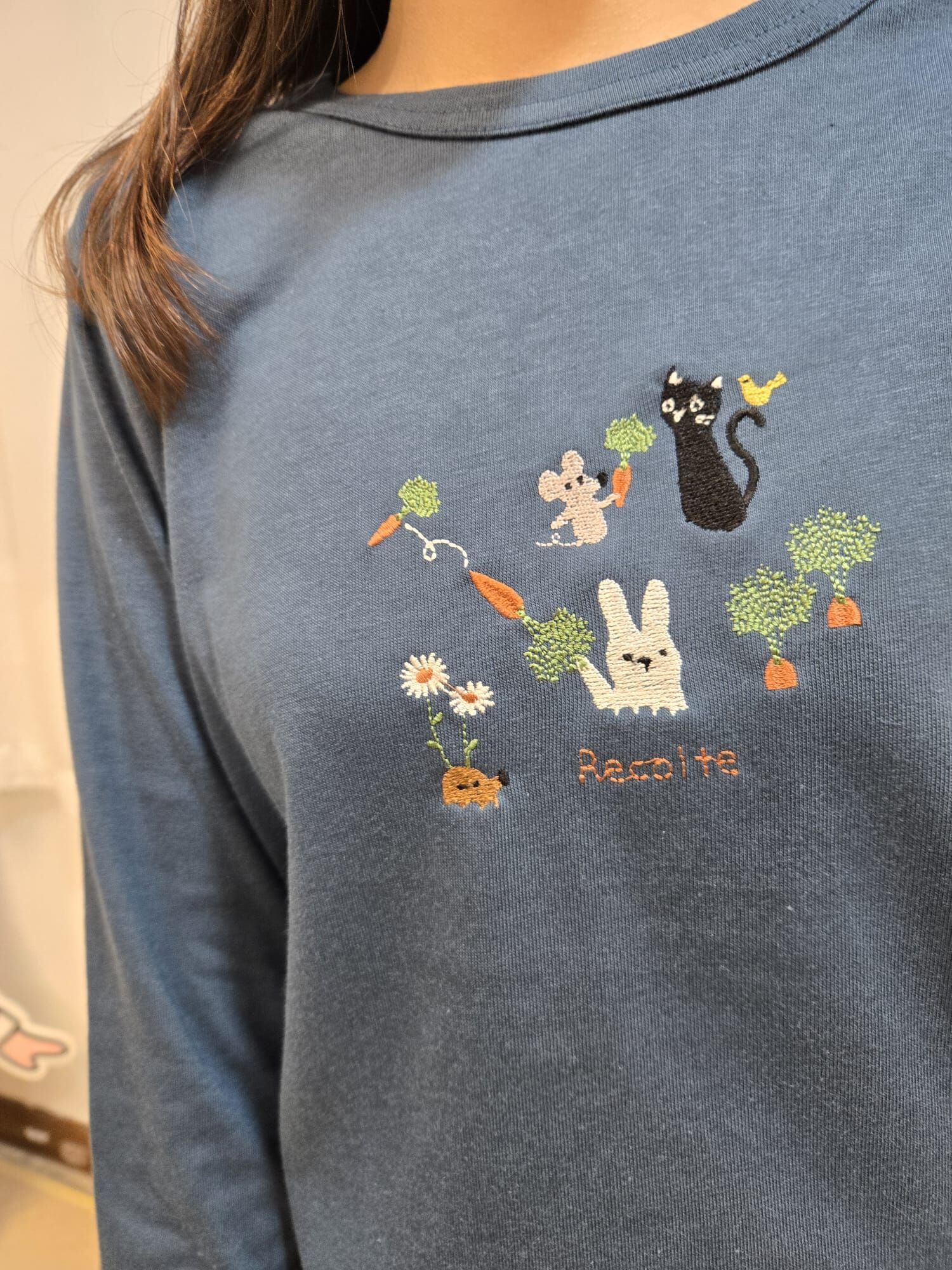 Ca 貓老鼠兔動物 TOP