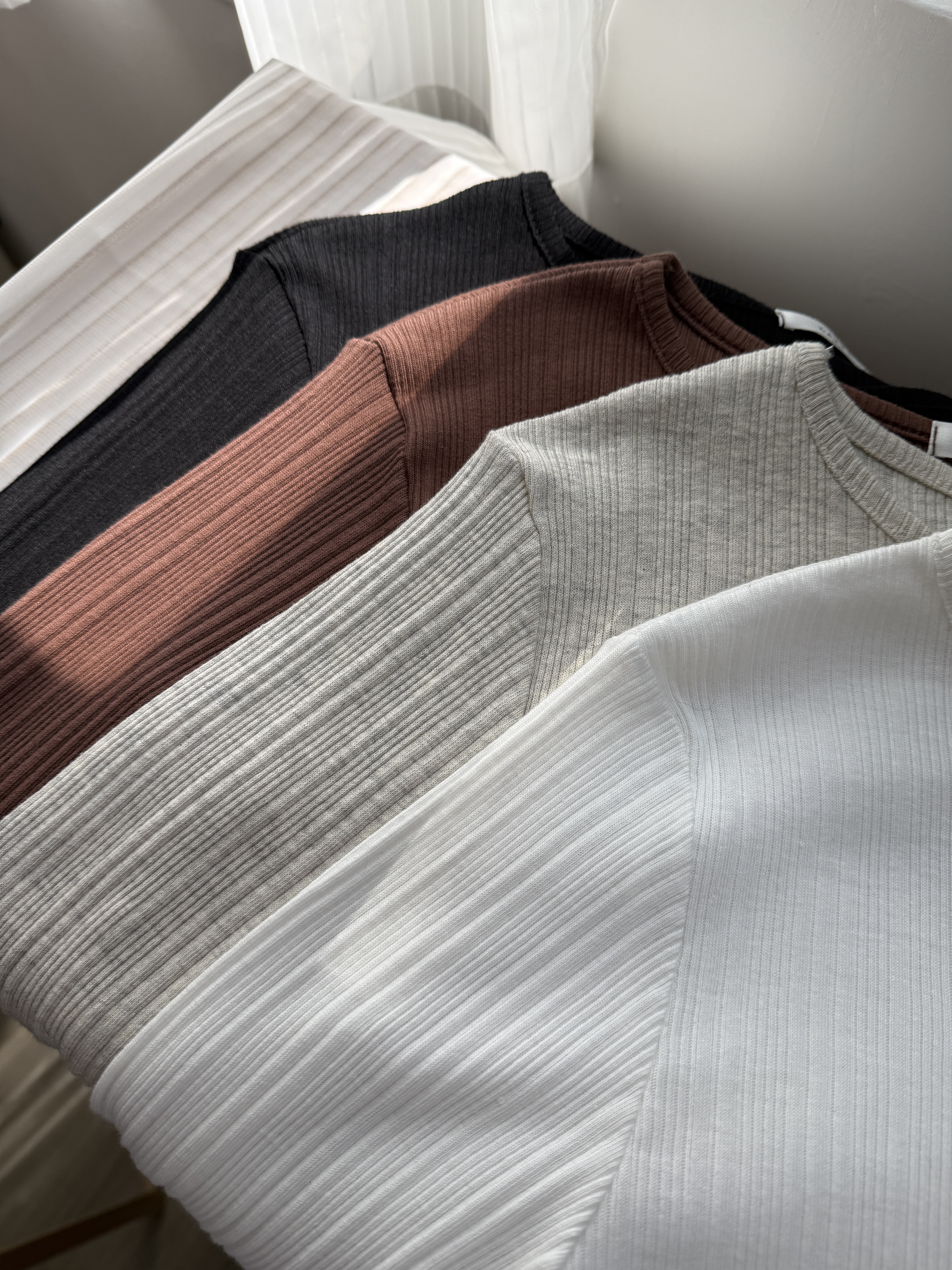 【現貨】   𝔸𝕦𝕥𝕦𝕞𝕟 ℕ𝔼𝕎  圓領直紋弧形邊長袖