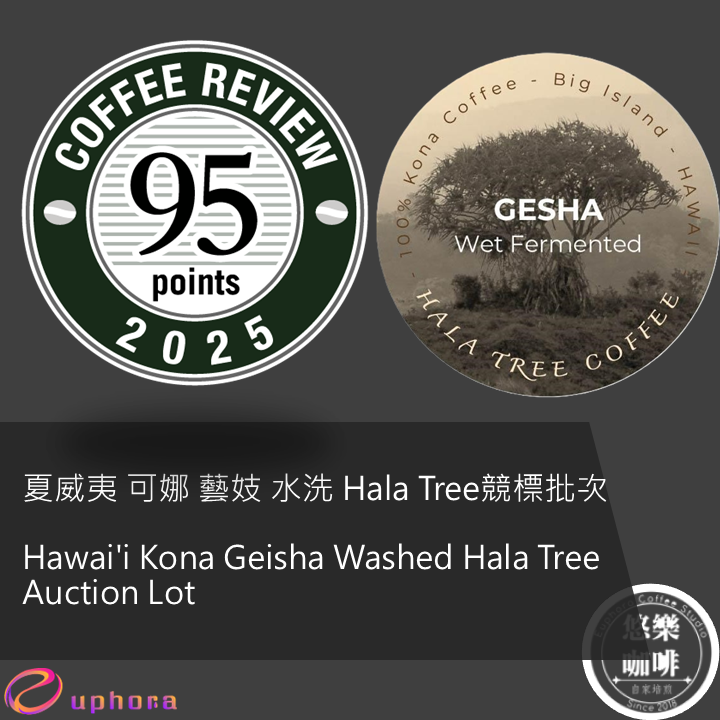 CR95 - 夏威夷 可娜 藝妓 水洗 Hala Tree競標批次
