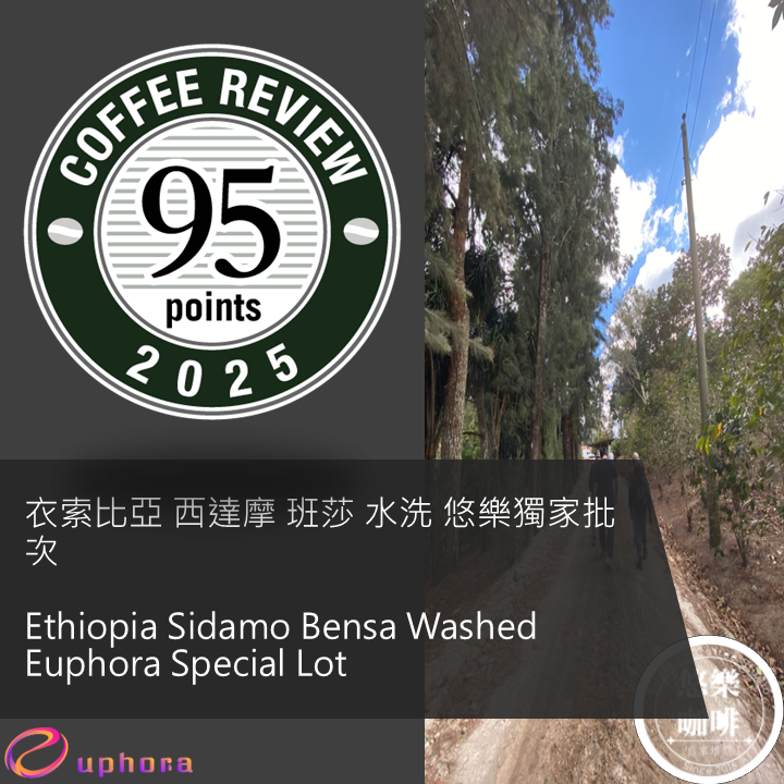 CR95 - 衣索比亞 西達摩 班莎 水洗 悠樂獨家批次