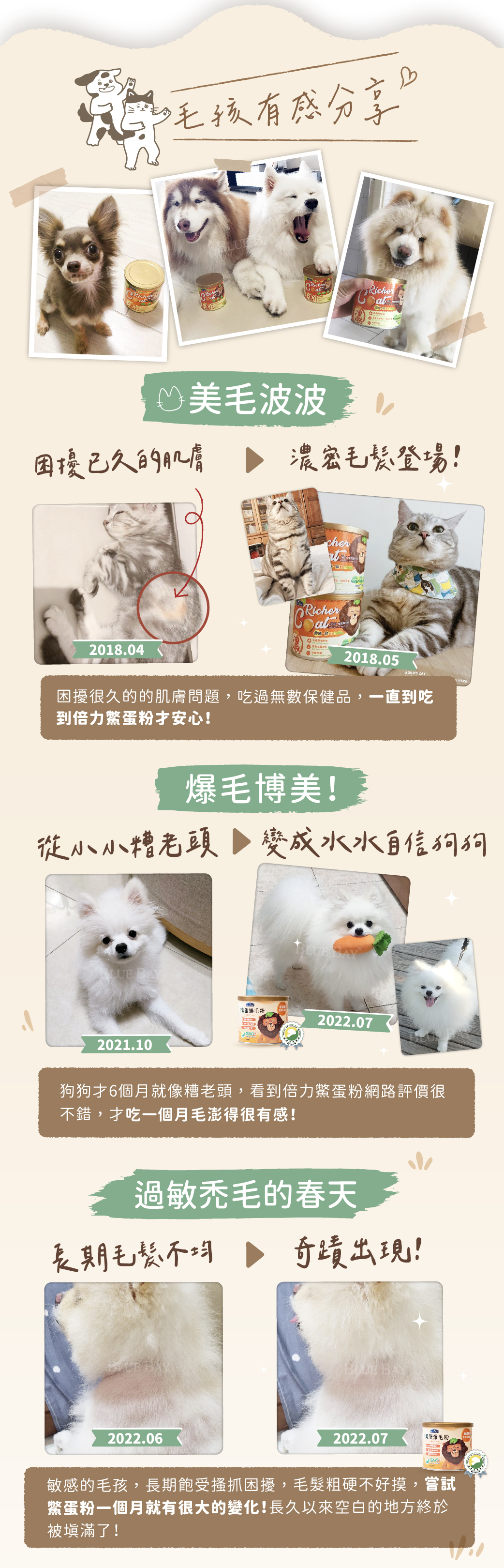 Bluebay 倍力【營養保健品】鱉蛋爆毛粉 (皮毛/養膚保健) 180g