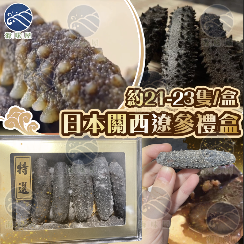 H19999 日本關西遼參禮盒（約21-23枝）
