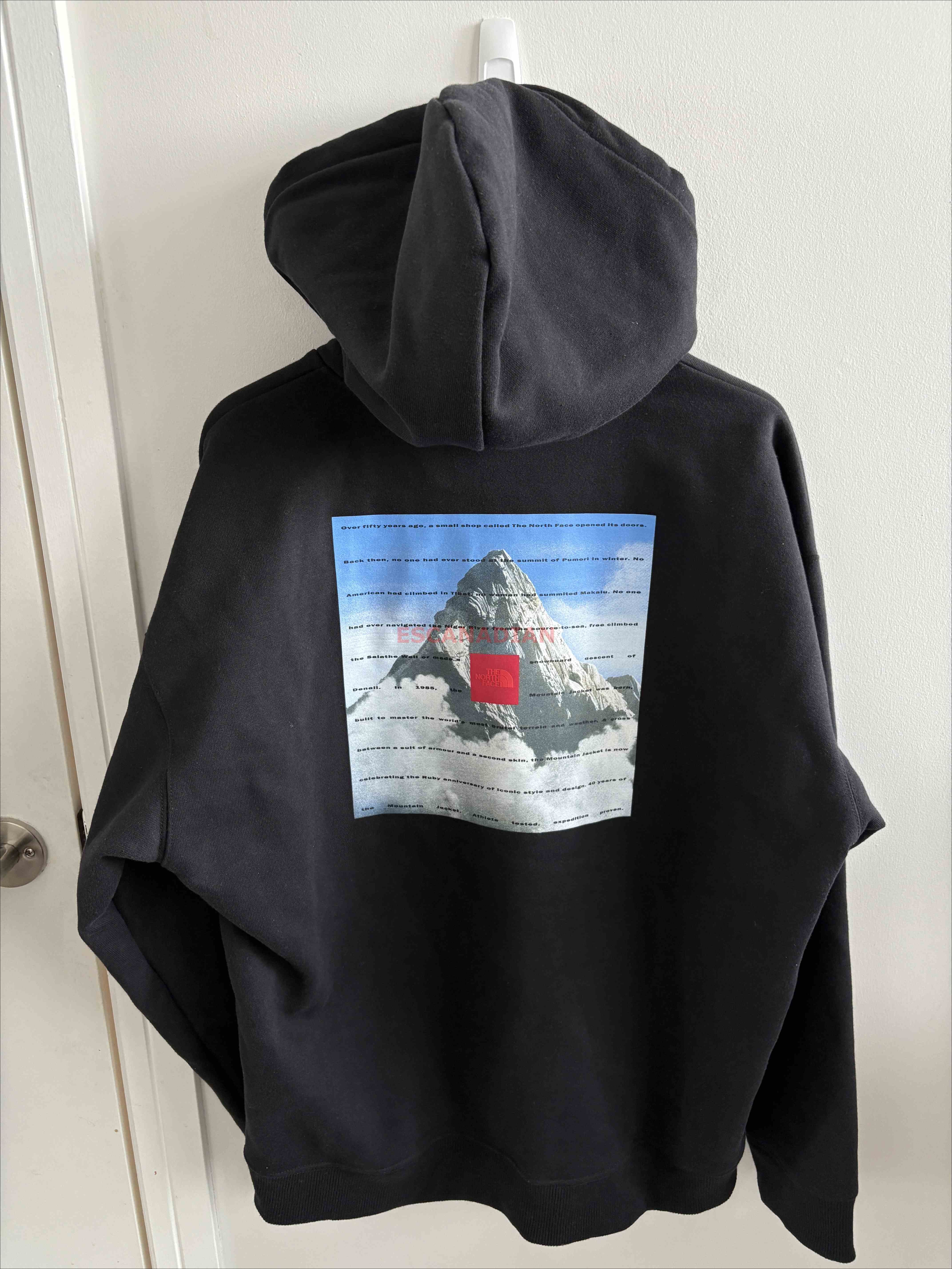 THE NORTH FACE 男大人 超重磅 周年限定 正反山脈圖案 硬挺 落肩寬版 帽TEE