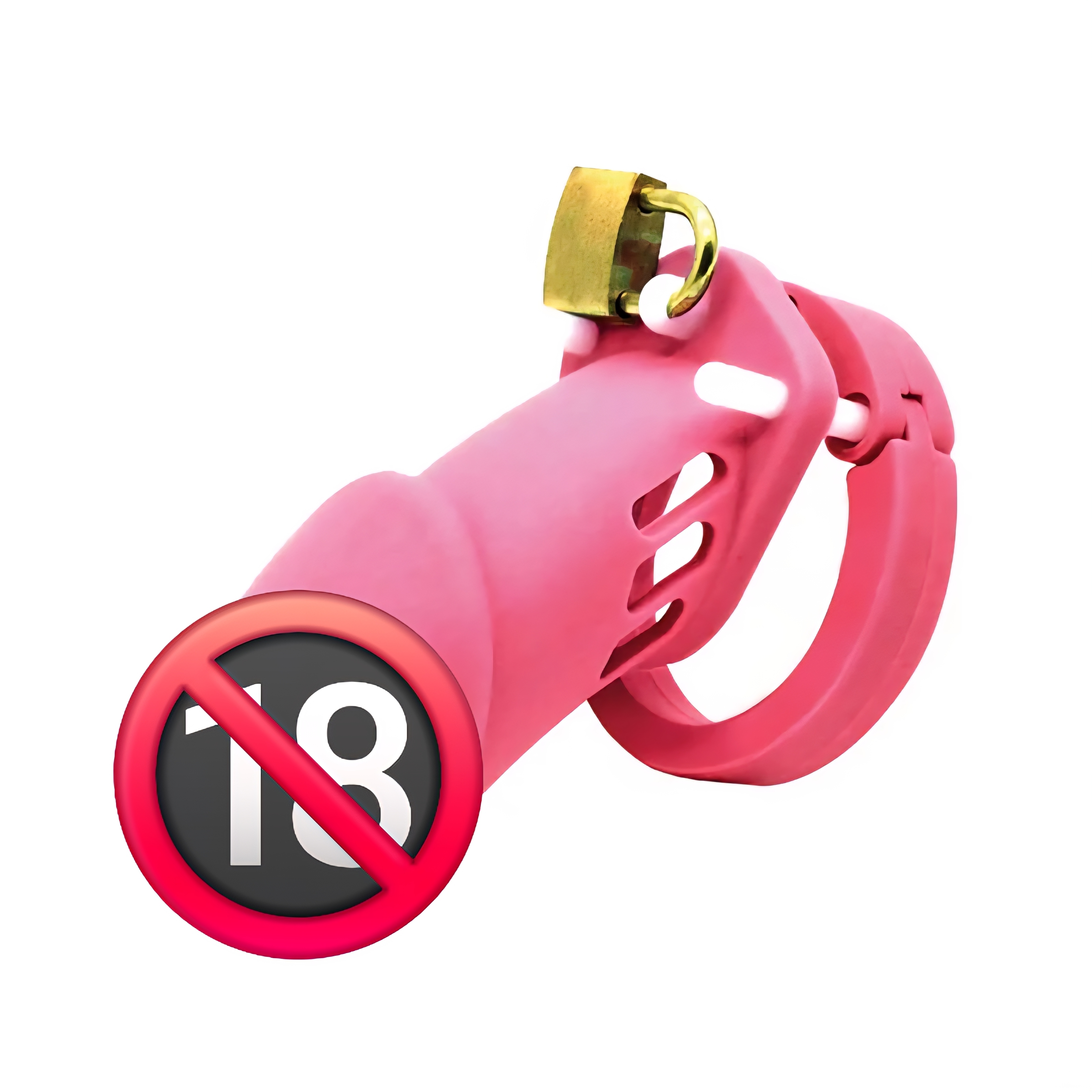 日本NPG 貞操帶 sm玩具 (粉紅色)