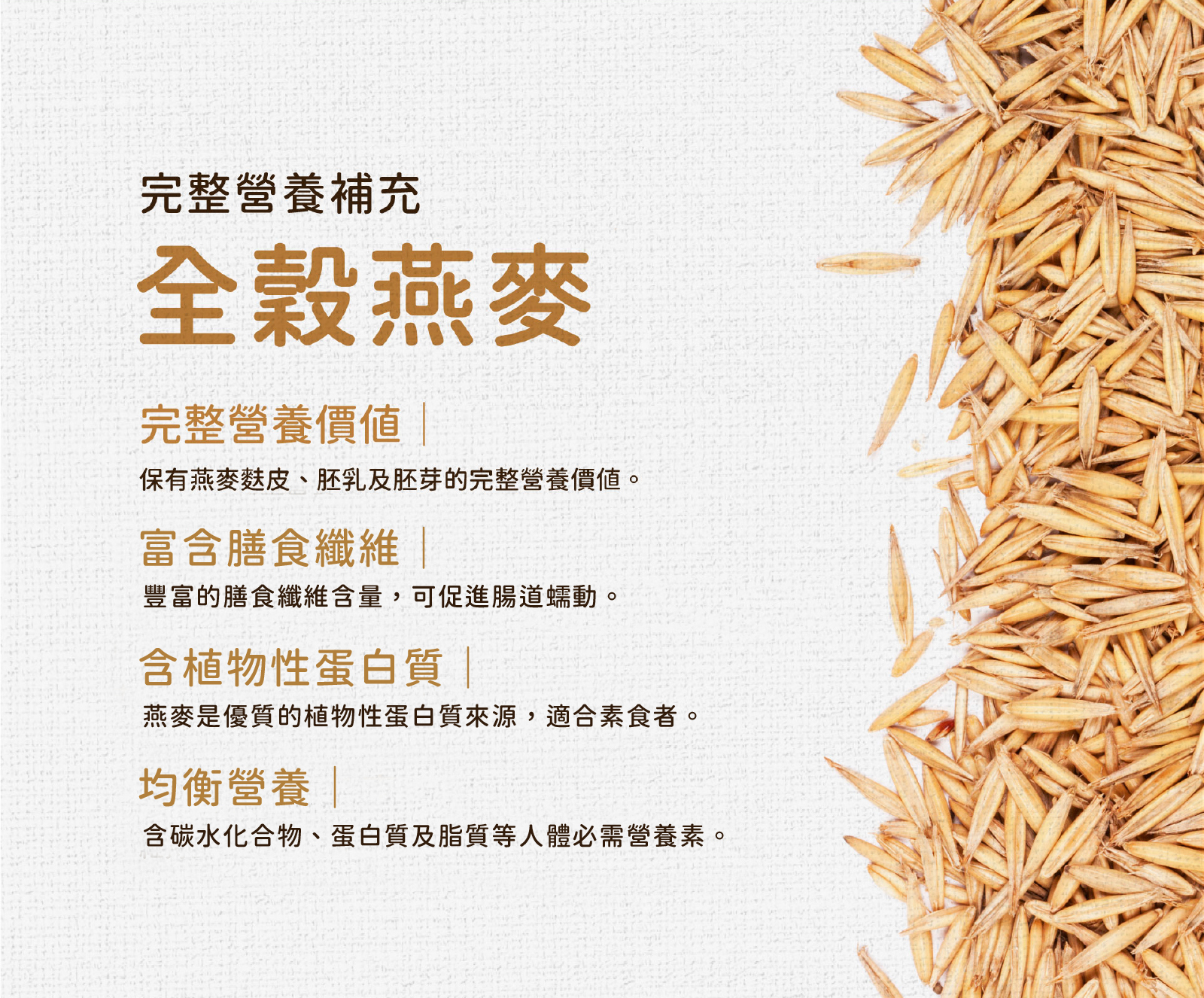 全穀燕麥幫助完整營養補充,富含豐富膳食纖維、人體必需氨基酸與微量元素