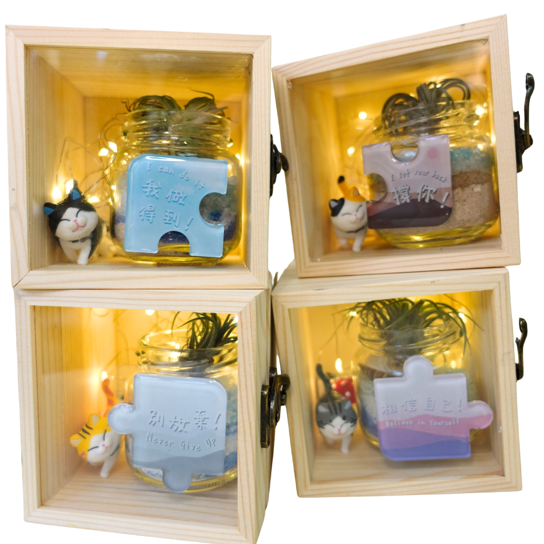 空氣草木盒禮盒