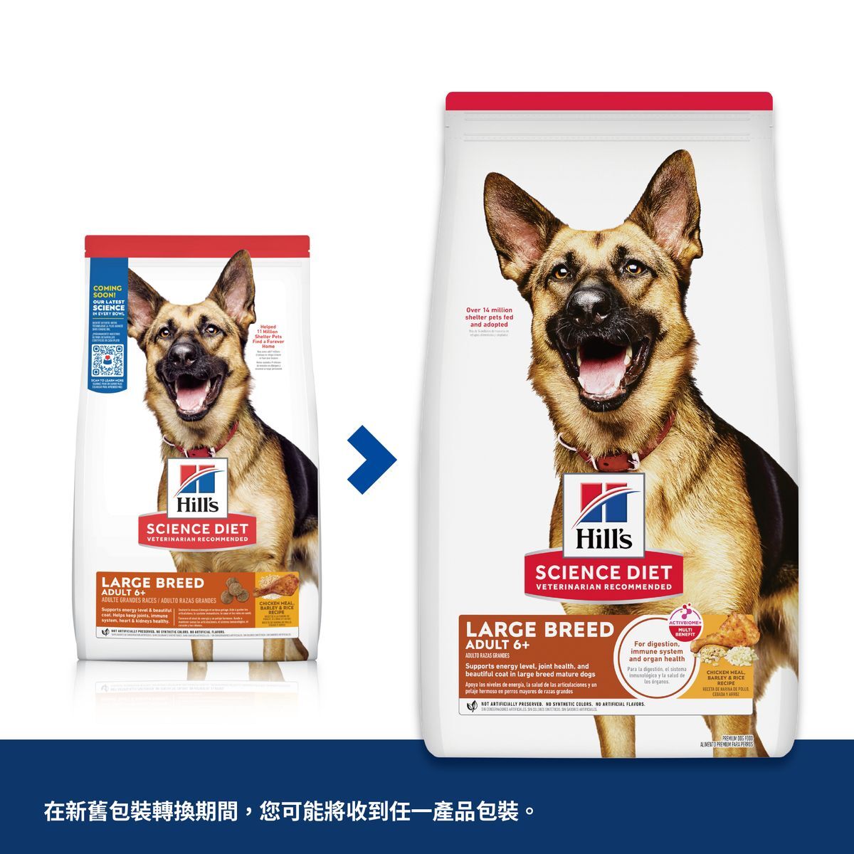 希爾思 大型高齡犬糧 12KG