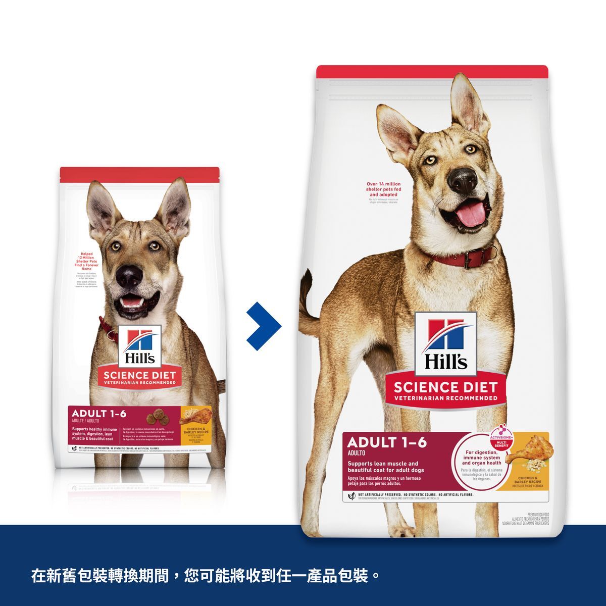 希爾思 成犬標準粒糧