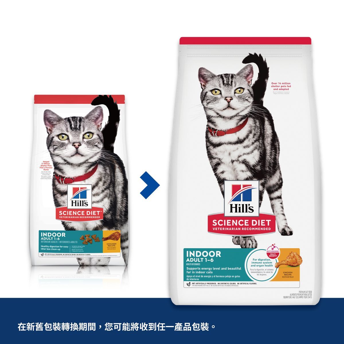 希爾思 室內成貓糧