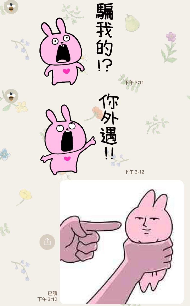 反外遇兔