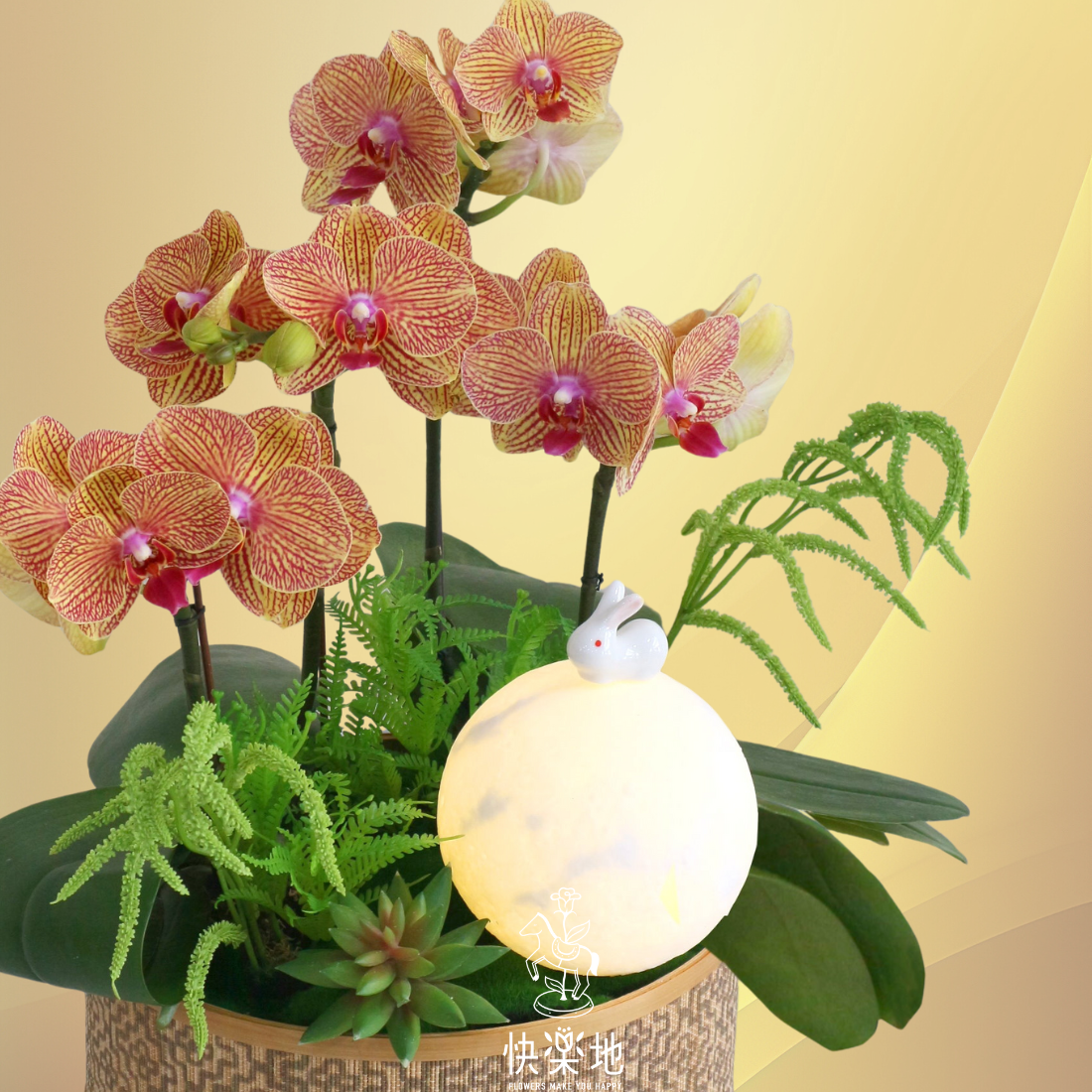 盈月盛景 I 蘭花禮盆  OP250890