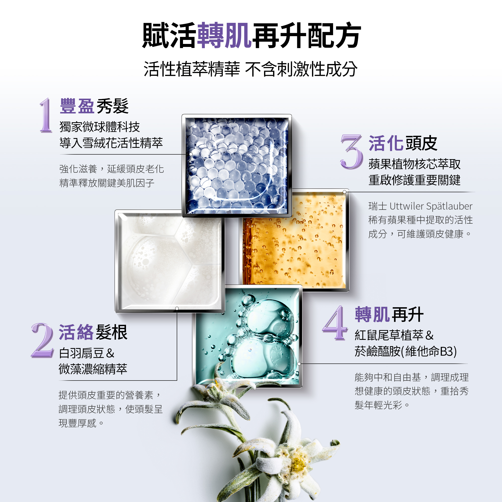 髮妝之鑰官方旗艦店,LA BIOSTHETIQUE,法國LB,MR逆齡再生肌浴