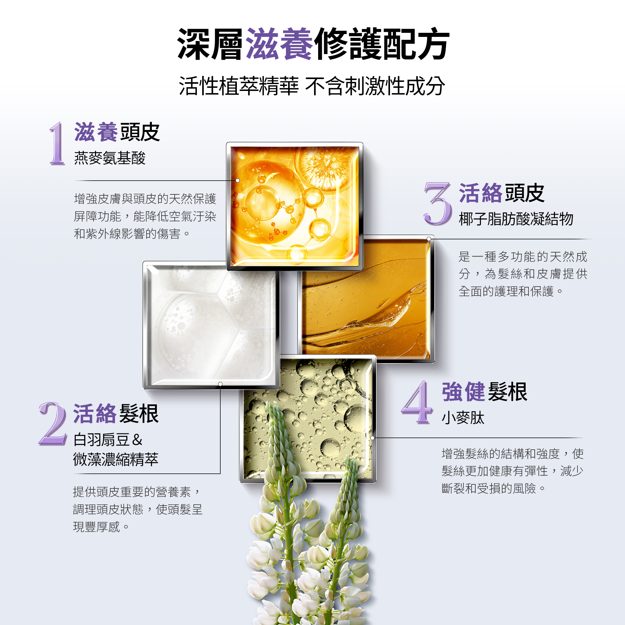 髮妝之鑰官方旗艦店,LA BIOSTHETIQUE,法國LB,MR強健森髮肌浴