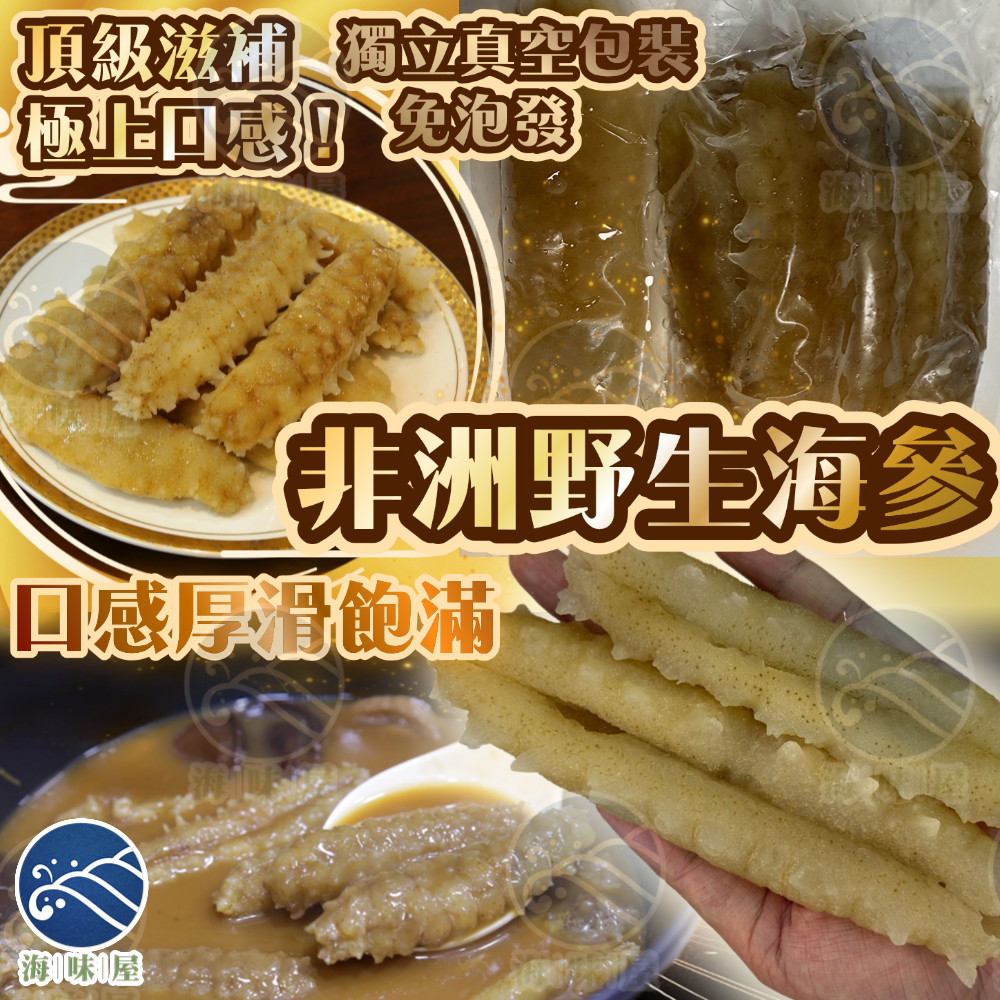 H20017 非洲野生海參