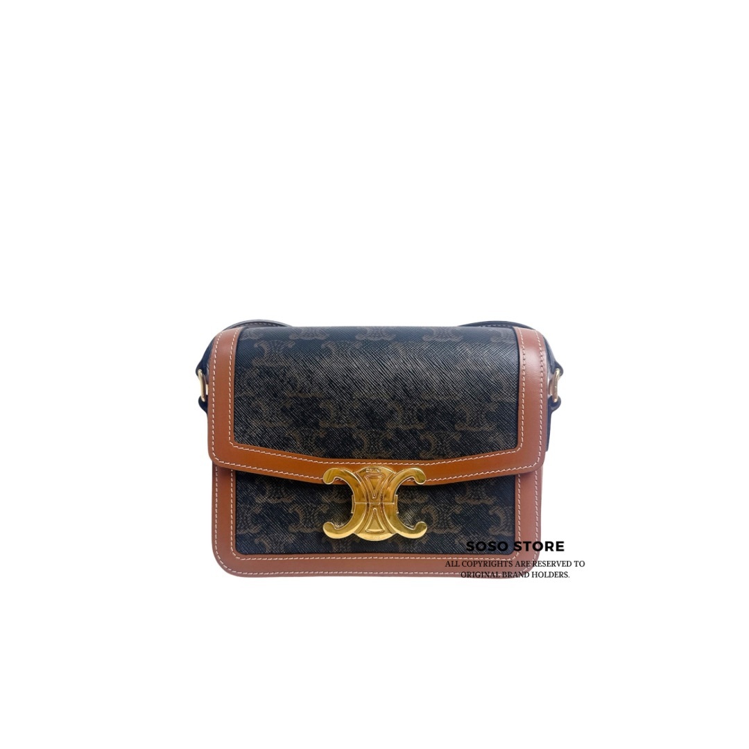 Celine Teen Triomphe Bag - Brown / Ghw
