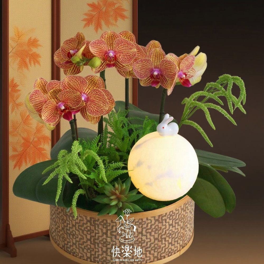 中秋送禮,中秋節花禮,中秋送花,中秋節,禮籃,月亮燈,花籃,花盒,月球燈,蘭花,蝴蝶蘭
