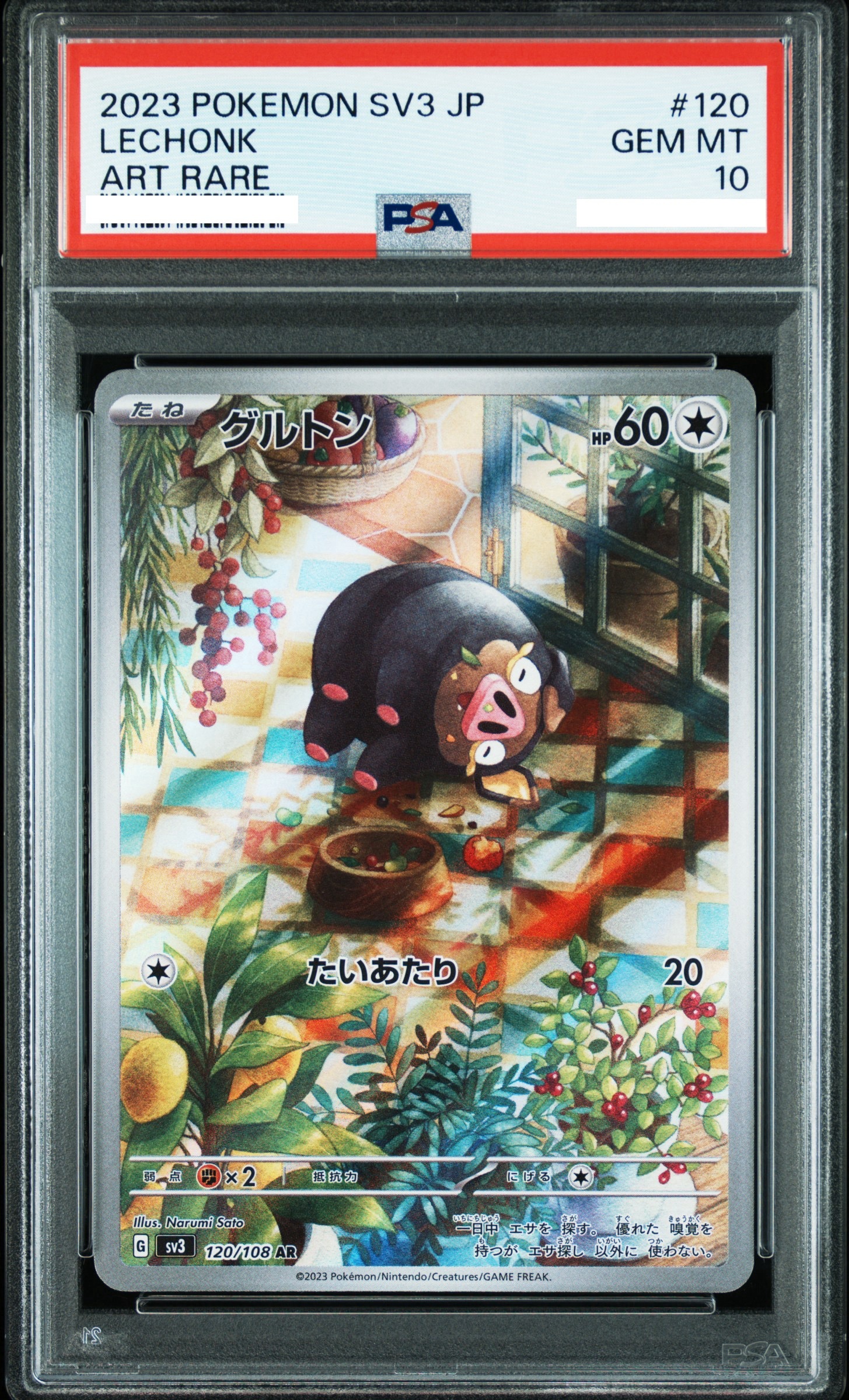 2023 POKEMON JAPANESE SV3-RULER OF THE BLACK FLAME #120 LECHONK ART RARE【PSA10】愛吃豚