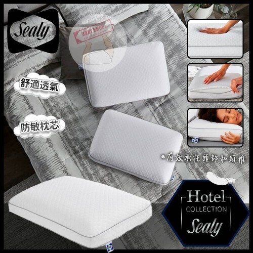 【現貨】Sealy A11093 記憶綿枕頭