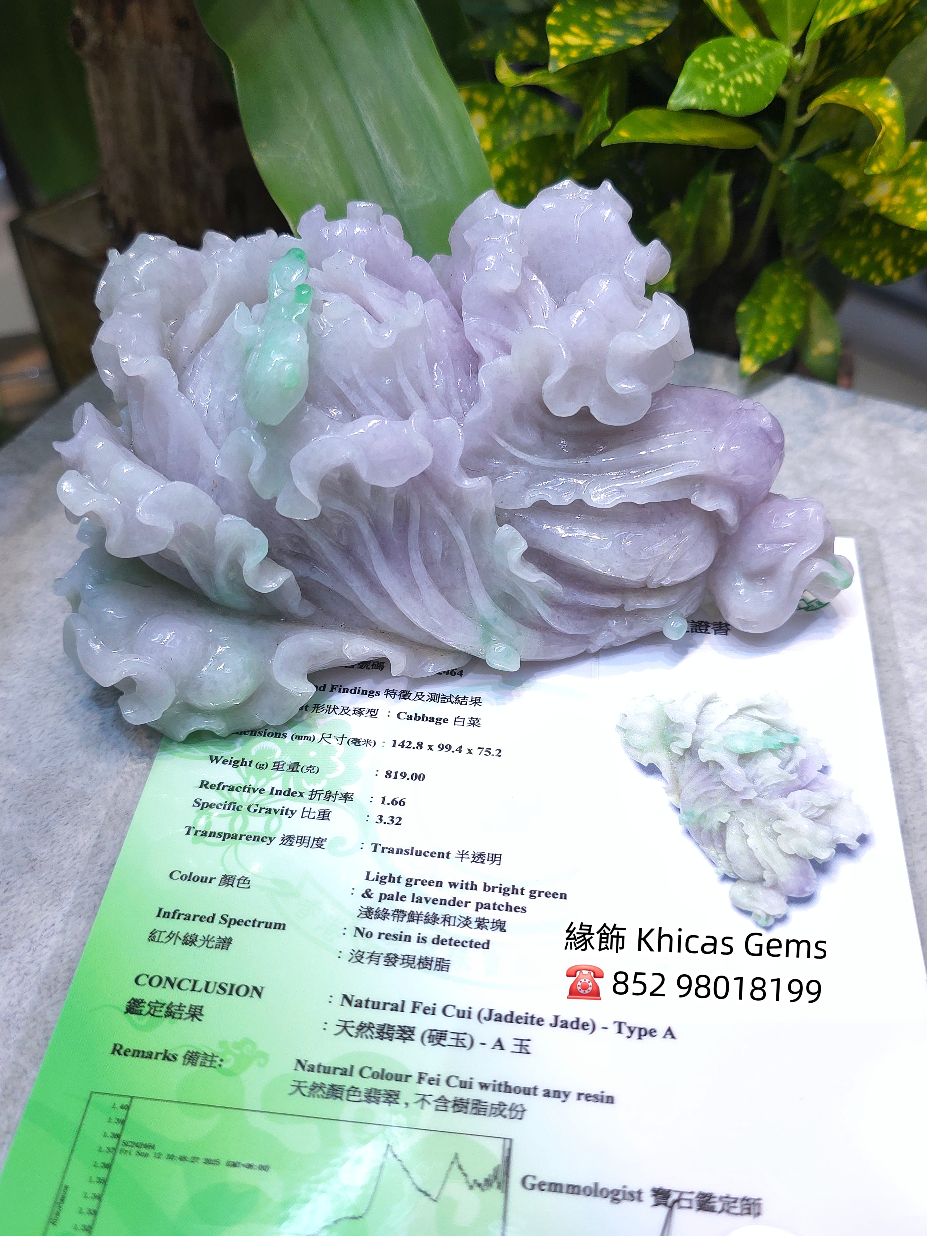 天然春彩翡翠白菜雕刻擺件💚 附帶翡翠鑑定證書