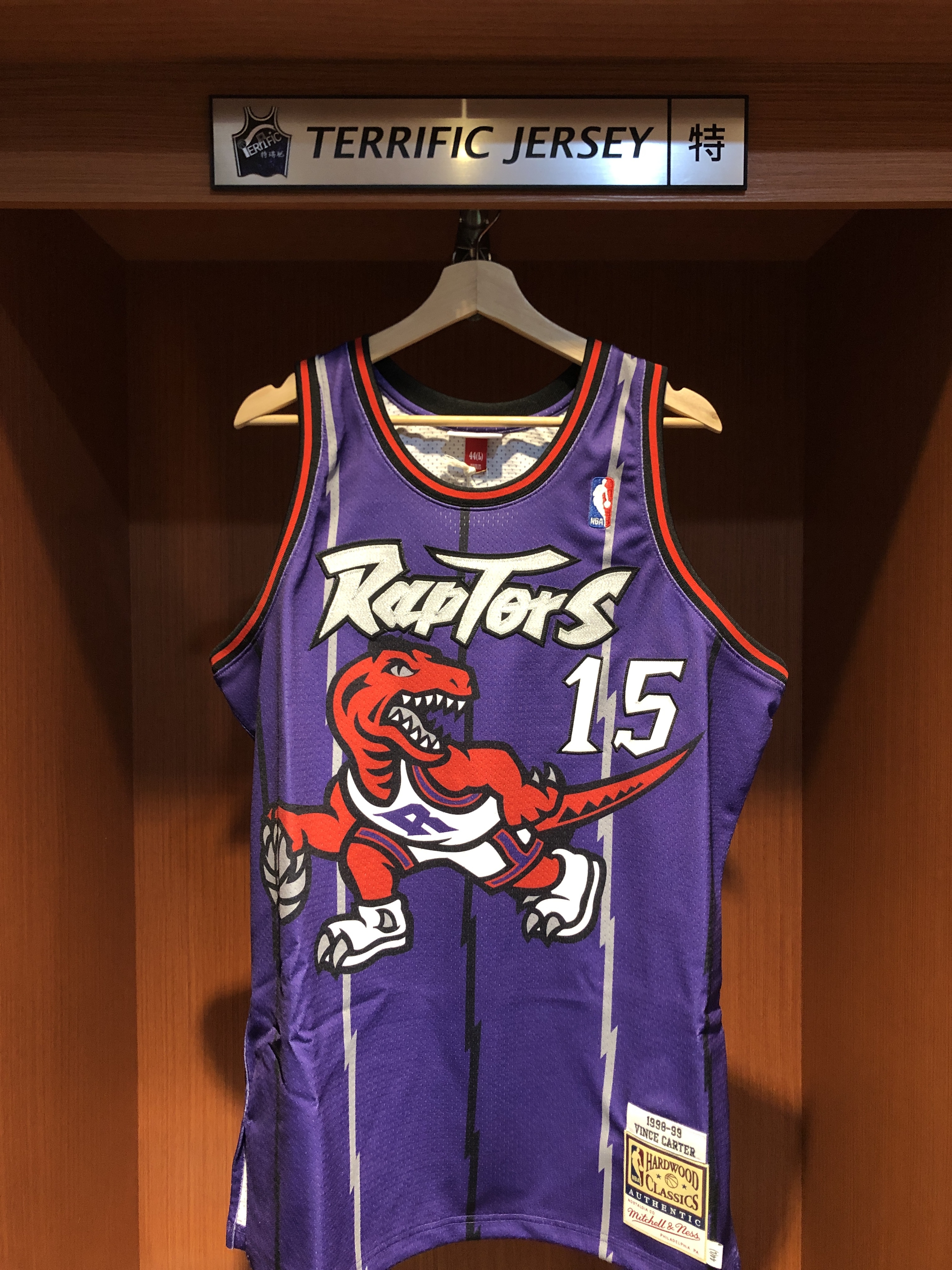 NBA球衣 Vince Carter 多倫多暴龍 98-99 紫大圖 染印 M&N Authentic 球員版 電繡 全新