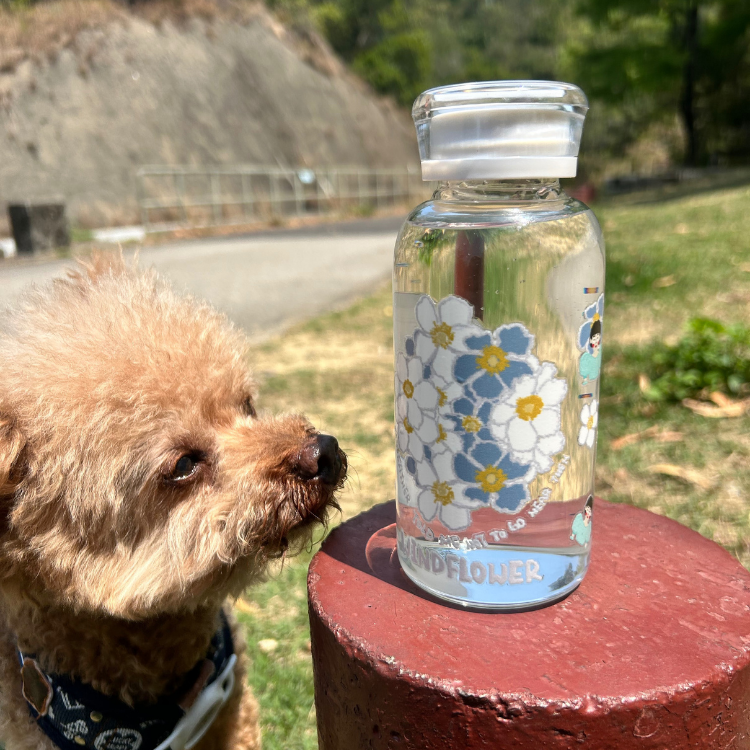 *Windflower 電影系列* 萬用轉印貼 [預售]