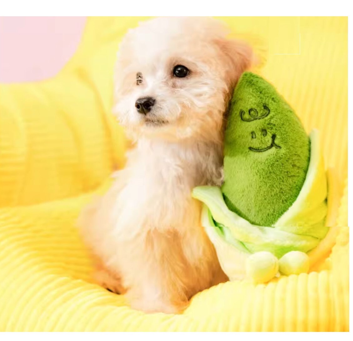 PETSVILLE | 寵物玩具盆栽公仔