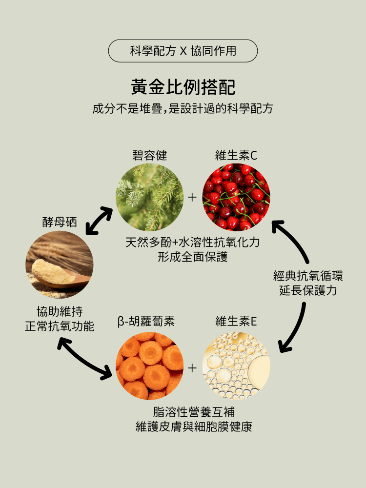 碧容健多酚膠囊採科學配方-CHEGO營養補給