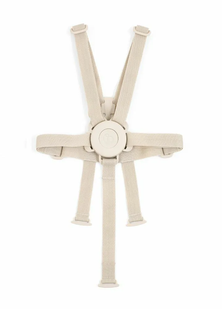 Stokke–Harness 安全帶,6個月-3歲,嬰兒套件+安全帶,支撐背部和脊椎,培養良好坐姿