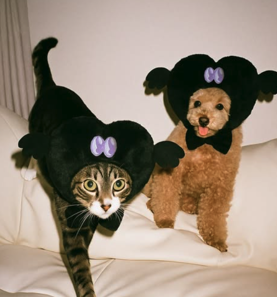 Mormat｜ 萬聖節 黑心帽